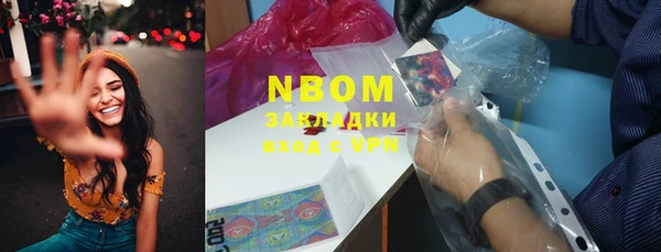 spice Богородицк
